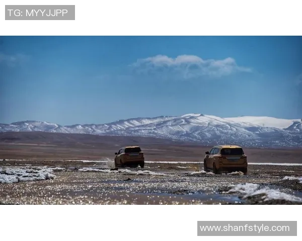 沙漠足球之星:盘点沙漠地区足球球员的卓越表现与影响力